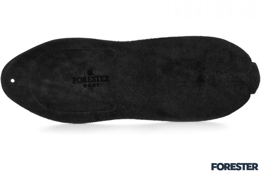 Forester Home 4172-1
