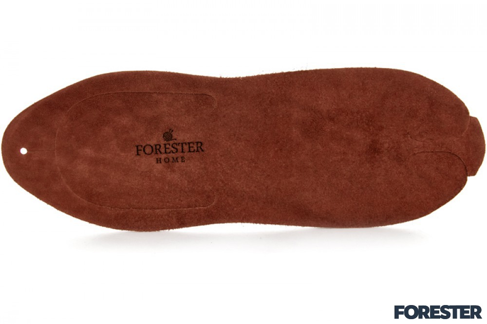 Forester Home 4172-6