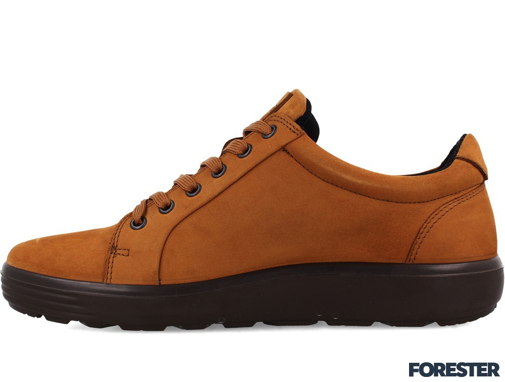 Чоловічі туфлі Forester Flex 450104-45