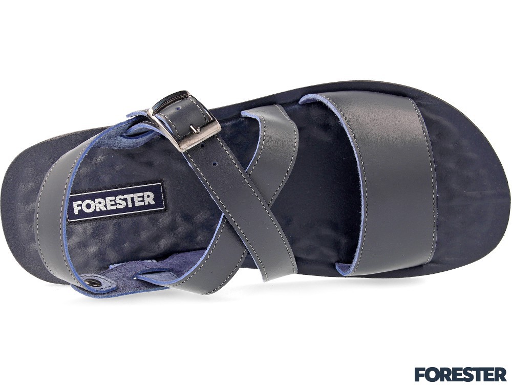 Forester 049-89