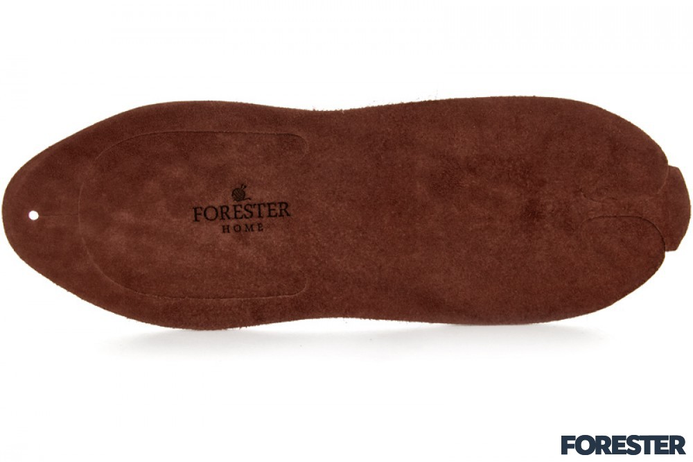 Forester Home 4172-4