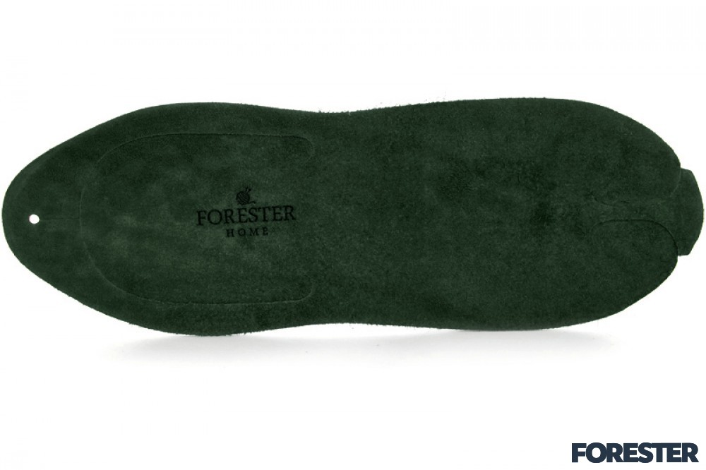 Forester Home 4172-7