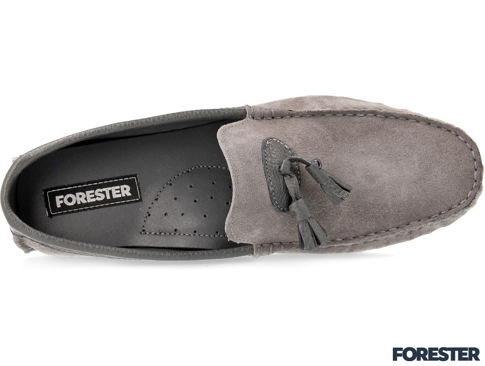 Forester 023-37