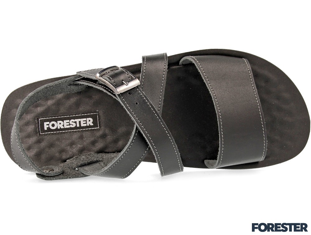 Forester 049-27