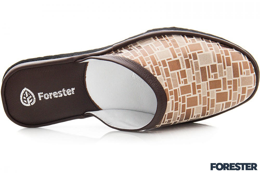 Forester Home 508-05